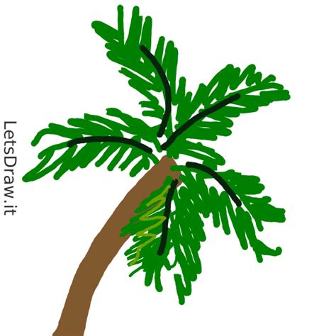 How To Draw Palm Tree Jss Or J Png Letsdrawit