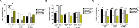 The Effect Of Cyclic Tensile Strain And Cx43akt Inhibition On Download Scientific Diagram