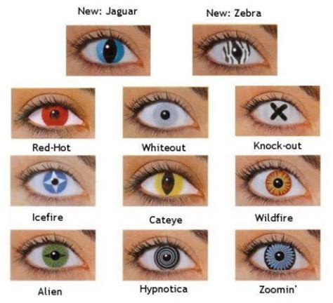 Eye Am That Eye Am: Cont-Eye-ct Lenses