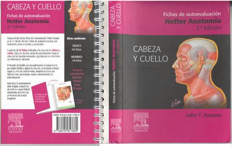 SOLUTION Fichas De Autoevaluaci N Cabeza Y Cuello Netter 2da Edici N