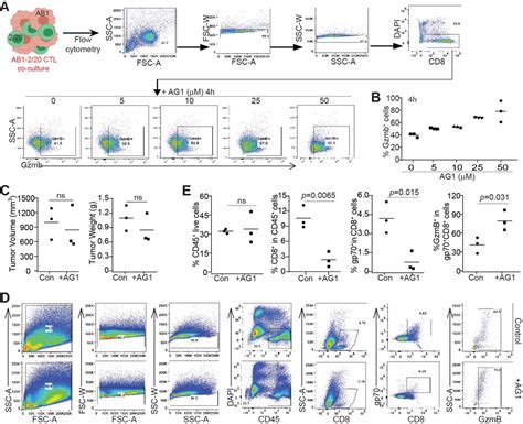 G6pd Functions As A Metabolic Checkpoint To Regulate Granzyme B