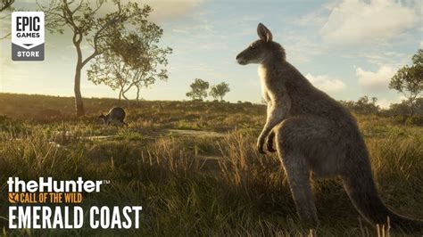 Emerald Coast Australia Teaser Trailer Thehunter Call Of The Wild