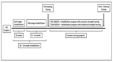 Effects of Eccentric-Oriented Strength Training on Return to Sport