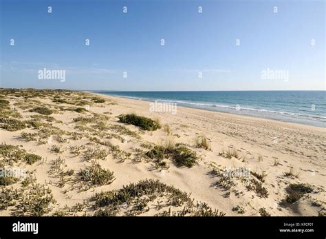 Comporta Beach Alc Cer Do Sal Portugal Stock Photo Alamy