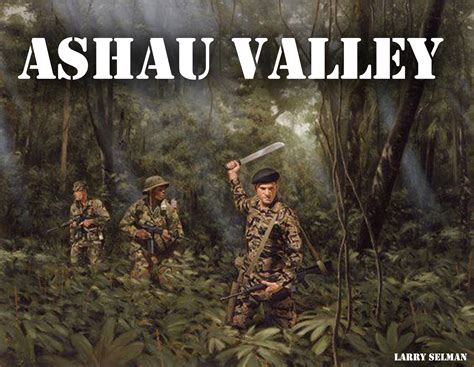 The Ashau Valley The Nam Wider War Feature The Nam Vietnam Combat