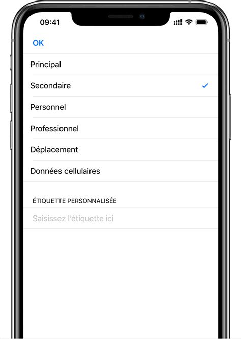 Comment Utiliser Forfaits Avec Une Esim Sur Iphone Frenchmac