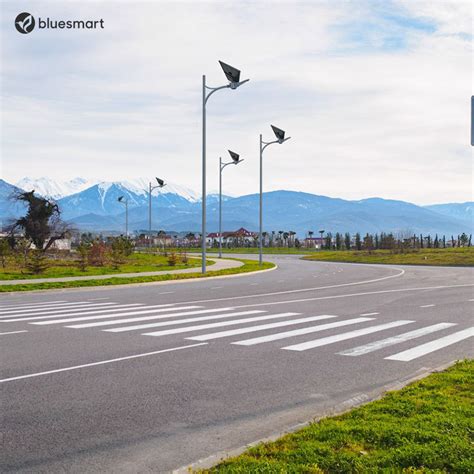 Bluesmart W Bridgelux Led Solar Street Light Manufacturer In China