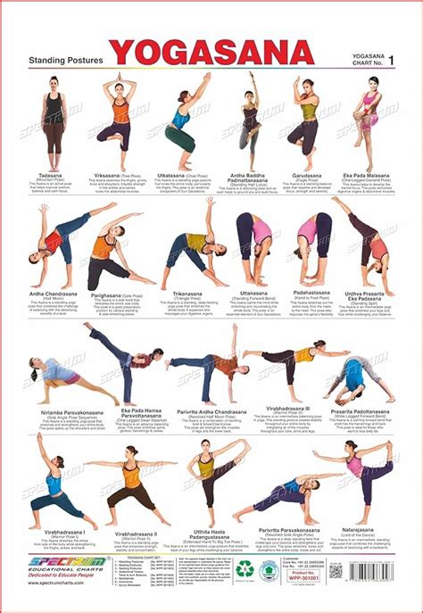 Spectrum Yogasana Standing Postures Polypropylene Chart Amazon In