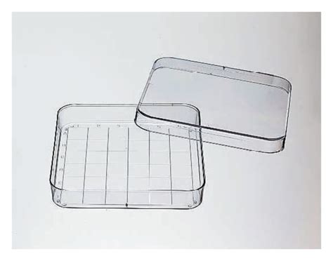 Fisherbrand Square Disposable Petri Dish With Grid Square Disposable