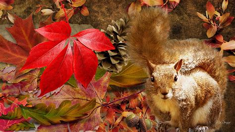 Squirrel Tag Corn Autumn Flowers Nuts Persona Bird Leaves Firefox