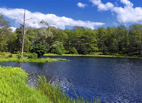 Imagen Gratis Agua Paisaje Lago Naturaleza Rbol Nube Reflexi N