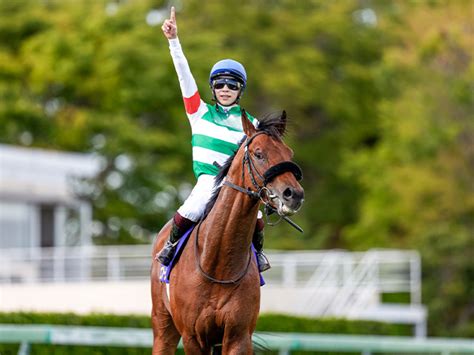 【セレクトセール2024】エフフォーリア産駒が初登場 ノーザンfの良血馬など6頭上場 競馬ニュース