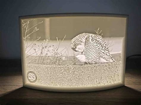 Lithophane Night Light Photo Light Ppc Handmade