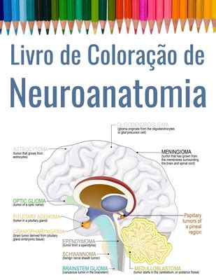 Livro De Colora O De Neuroanatomia Neuroci Ncias Para Colorir