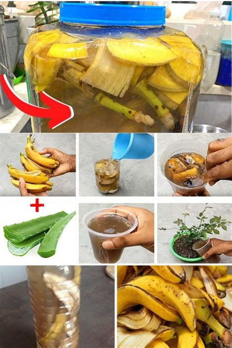 Wie Verwendet Man Bananenschalen Als D Nger Recettes Grand M Re