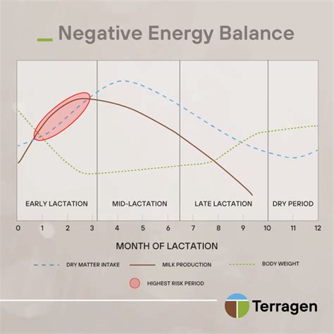 Lactation Curve Terragen