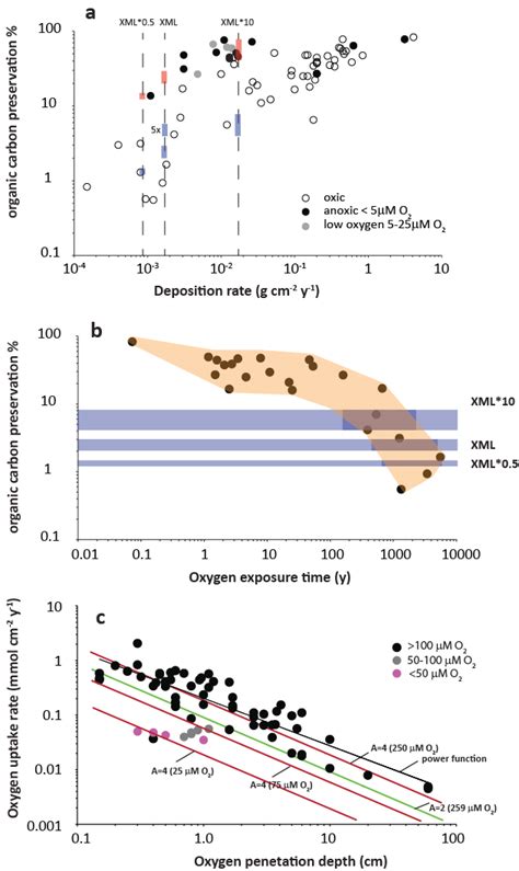 a) Preservation of organic carbon in modern marine sediments calculated ...