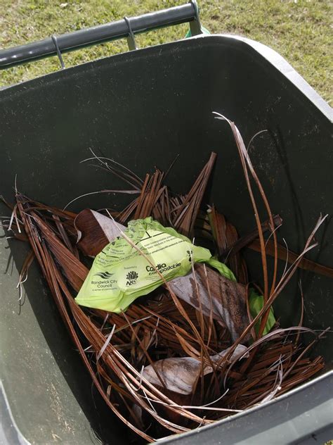 Waverley Council Plans To Introduce Food And Garden Organics Waste