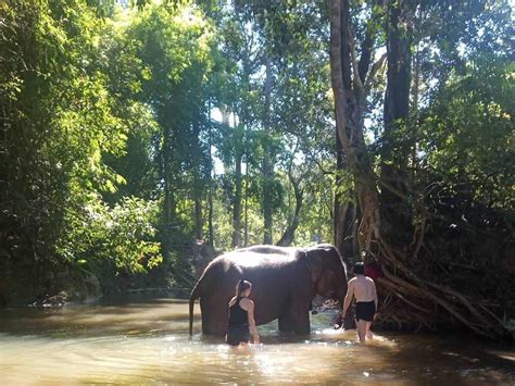 Chiang Mai Jungle Trekking Full Day Trips Chiang Mai