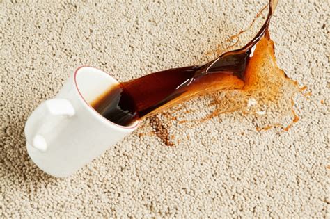 The Benefits Of Scotchgard Carpet Protector Carpet Cleaning State