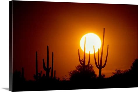 Desert Sun | Great Big Canvas