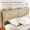 Amazon Brafab Natural Rattan Queen Bed Frame With Wooden Headboard