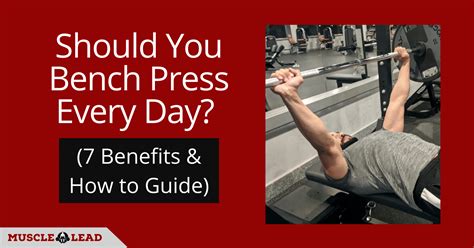 Should You Bench Press Every Day Benefits How To Guide