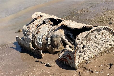 Body found in barrel by boaters at Lake Mead: authorities