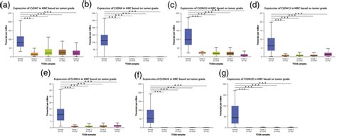 Correlation Between Cldns Expression And Tumour Grades In Ccrcc