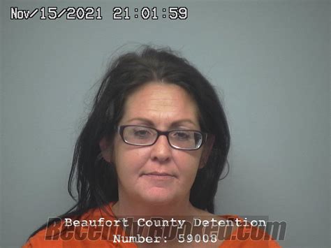 Recent Booking Mugshot For LESLEY ANN FRYT In Beaufort County South