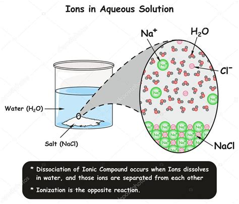 Iones En Soluci N Acuosa Diagrama Infogr Fico Que Muestra La Reacci N