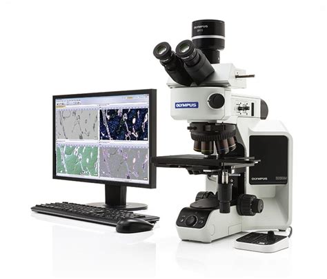 0400x Olympus Cx33 43 Advanced Laboratory Microscope Led At Rs 80000 Unit In Bengaluru