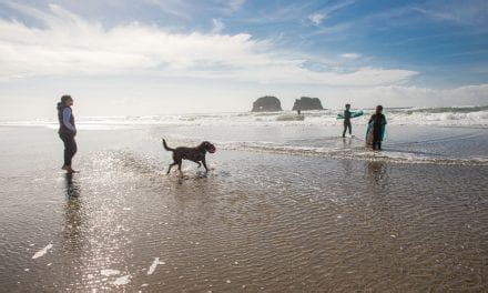 Rockaway Beach Oregon | Small Town, Big Beach