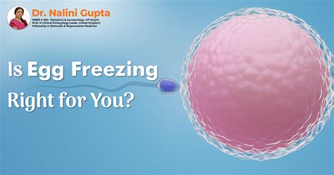 Is Egg Freezing Right For You Dr Nalini Gupta Ivf Specialist