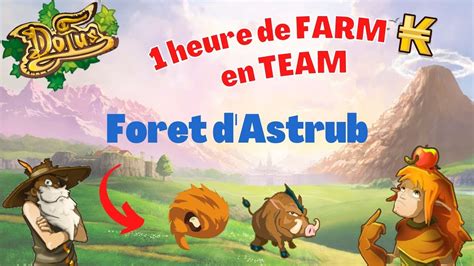 Vous Allez Tre Choqu S Des Kamas H De Farm For T D Astrub