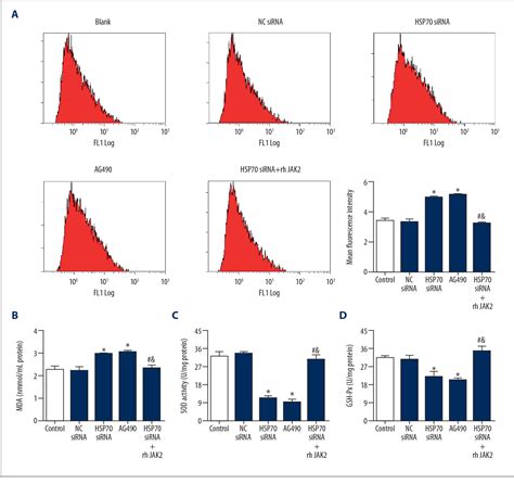 Figure 5 From Inhibition Of JAK2 STAT3 Signaling Pathway Suppresses