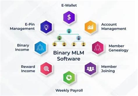 Online Cloud Based Binary Plan Mlm Software For Windows At Rs 15000 In