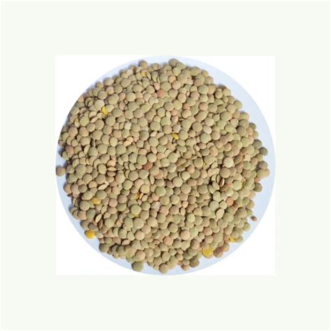 Best Factory Price Of Natural Canadian Whole Green Lentils Dry Organic