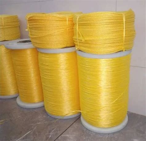 Mm To Mm Yellow Pp Danline Rope At Rs Kg In Mahuva Id