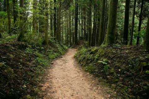 Premium Photo Walking The Hiking Road Following The Nakasendo Trail