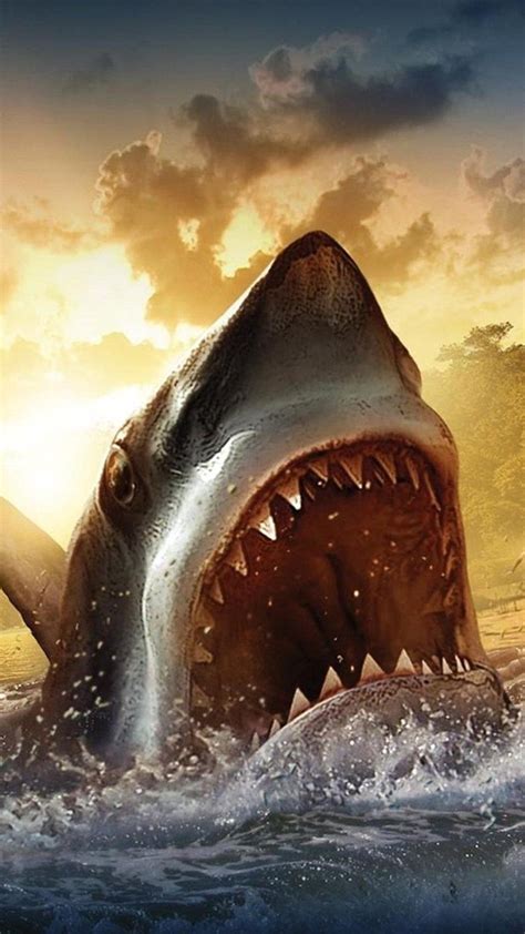 Megalodon Wallpapers 52 Images