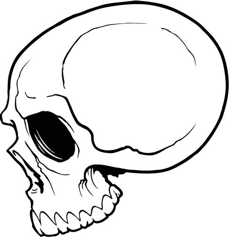 Easy Simple Skull Coloring Pages - pietercabe