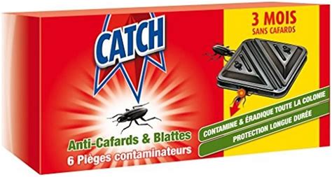 Catch Expert Pi Ges Anti Cafards Blattes Pi Ges Contaminateurs