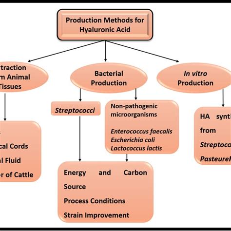 Schematic Representation Of Commonly Used Methods Utilized For