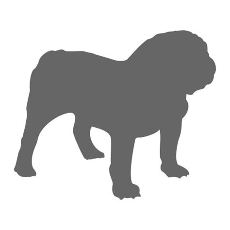 English Bulldog Stencil