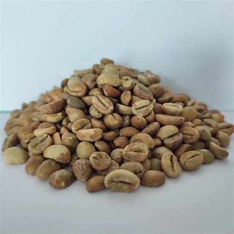 Robusta Green Coffee Beans Inaexport