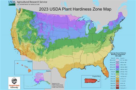 USDA Issues Revised Plant Hardiness Zone Map - For decades, the USDA ...