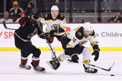 Public Skate Bruins Vs Coyotes News 413