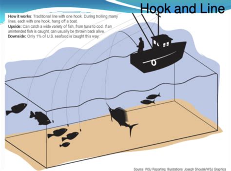 14 Aquaculture Flashcards Quizlet