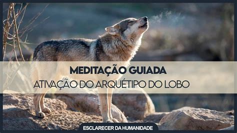 Medita O Guiada Para Ativa O Do Arqu Tipo Do Lobo Youtube